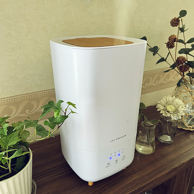 アイビー/シェルフ 棚/観葉植物/加湿器/リビングのインテリア実例 - 2021-12-27 11:42:46