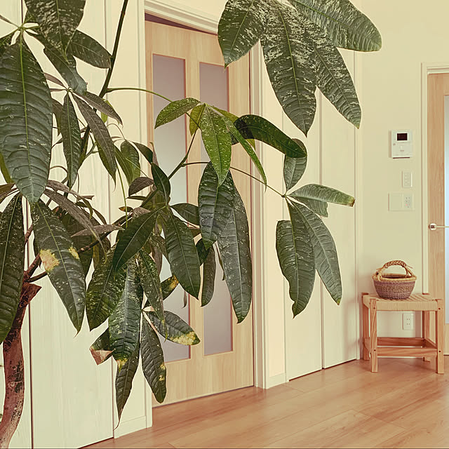 botanical884さんの実例写真