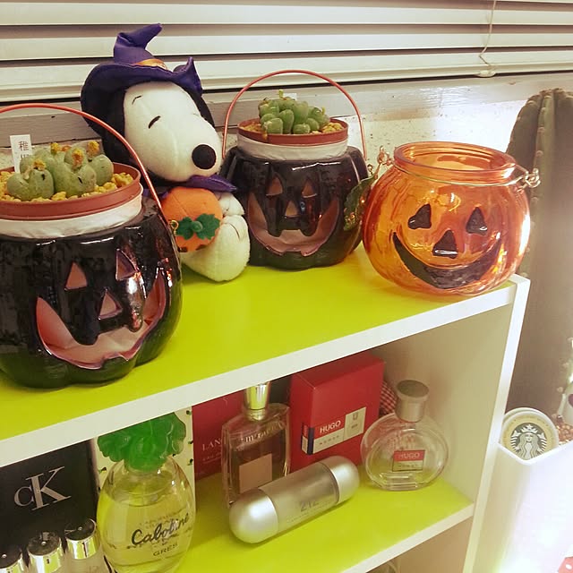 sacchinさんの実例写真