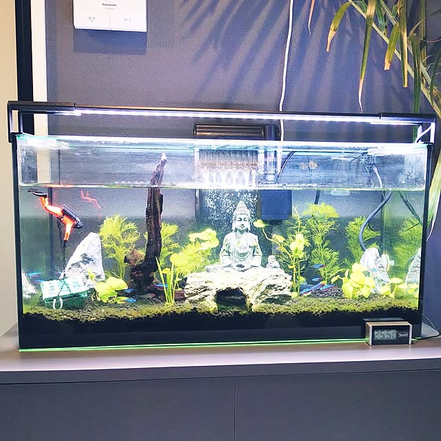 iegomori0621さんの部屋