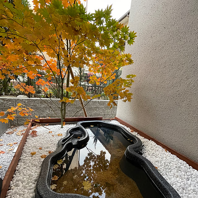 yoshikyouさんの実例写真