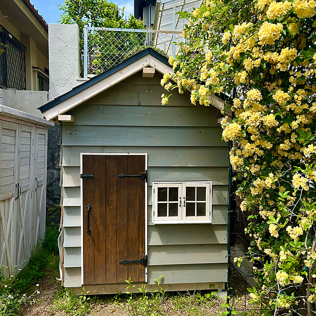 funapiiさんの実例写真