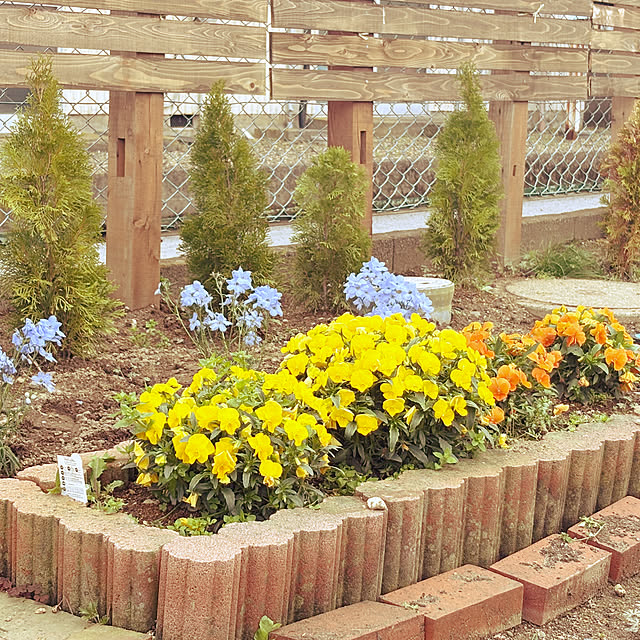 akkeyさんの部屋