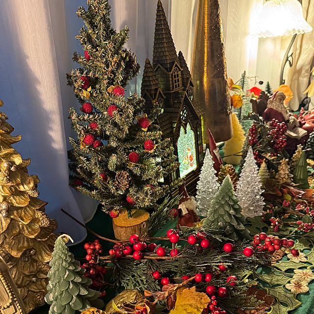 mamizaさんの部屋