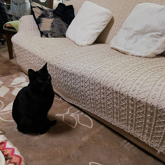 Tomopさんの実例写真