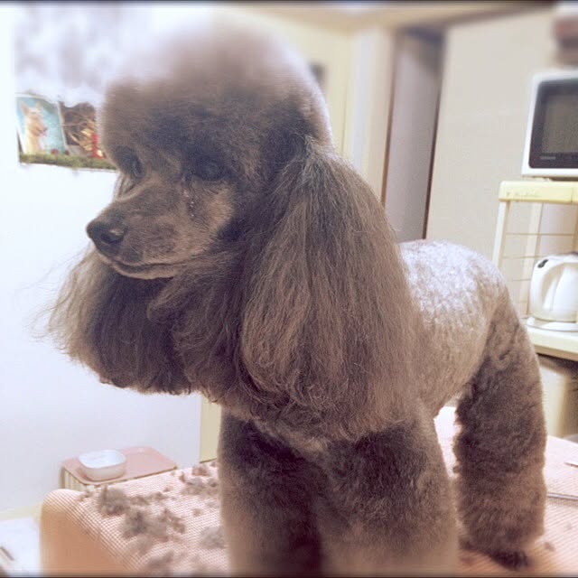 chunさんの実例写真