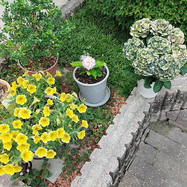 ayaさんの実例写真