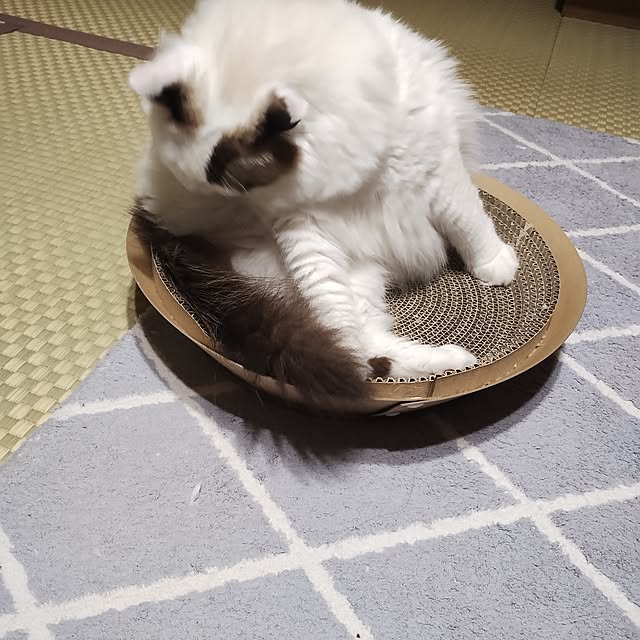 sawa0127さんの部屋