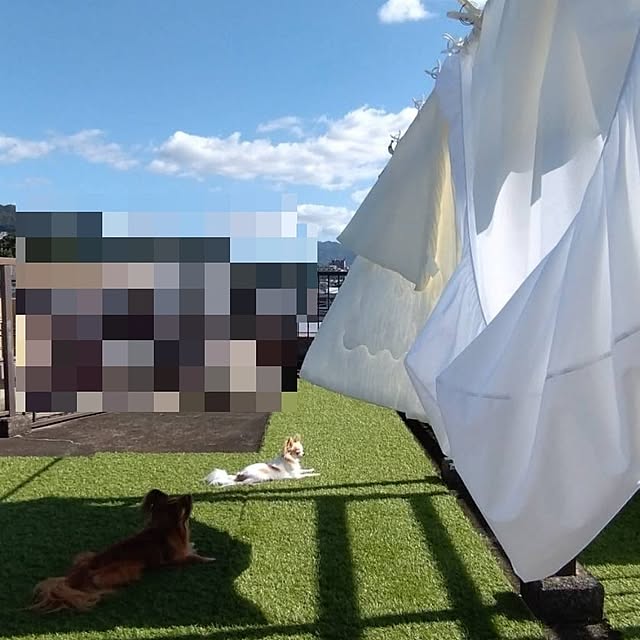 toratanさんの実例写真