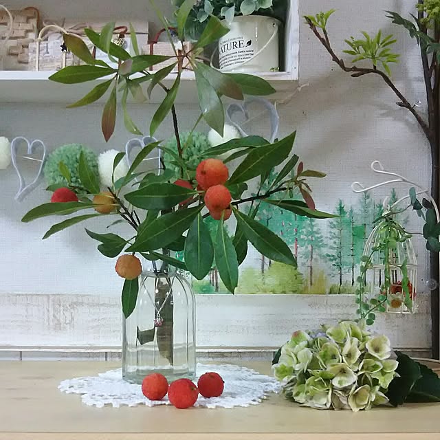 naopyiさんの実例写真