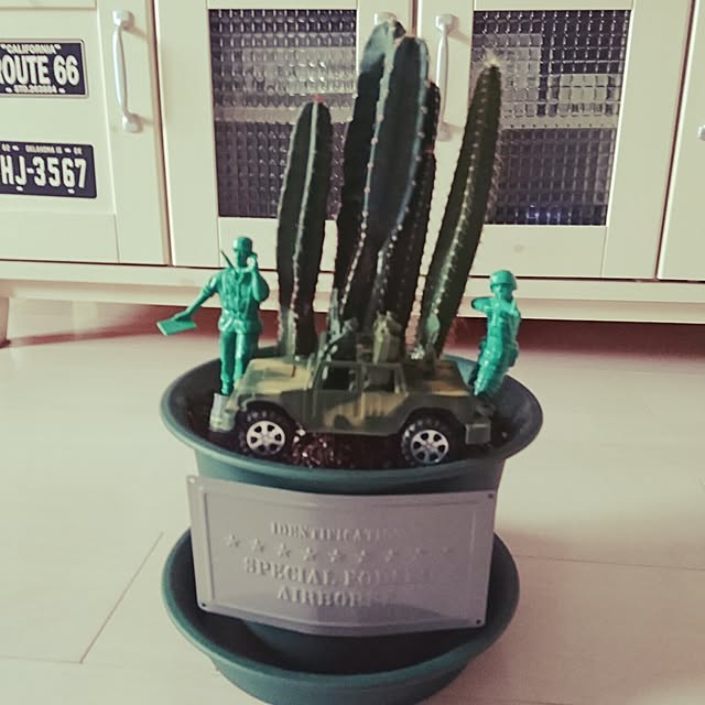 shoさんの実例写真