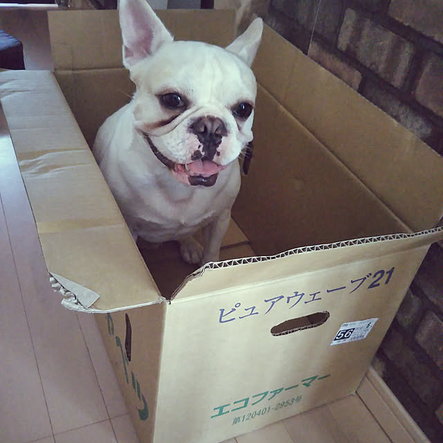 remu0319さんの実例写真