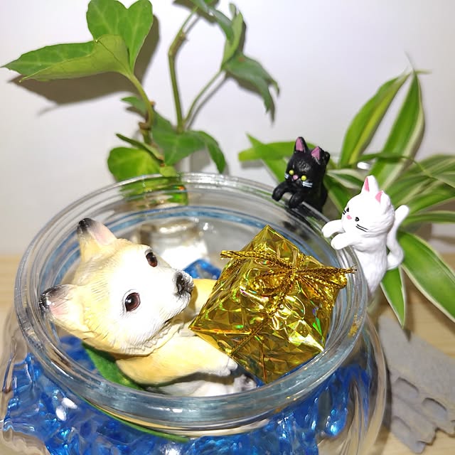 katさんの部屋