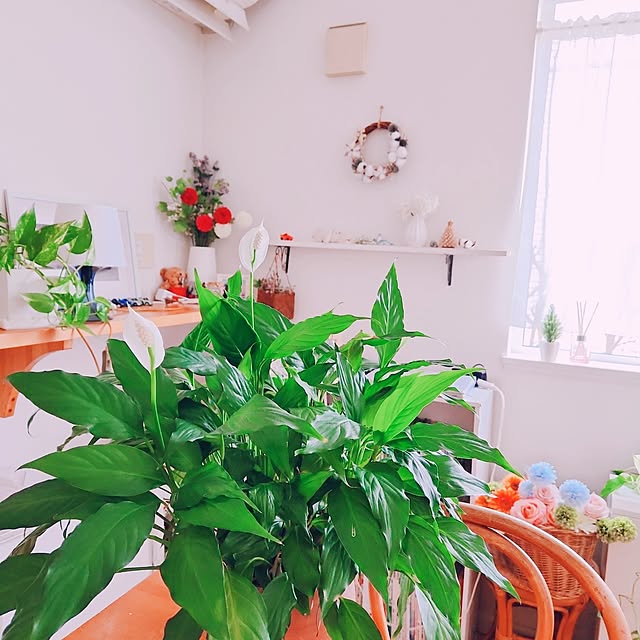 surviveさんの実例写真