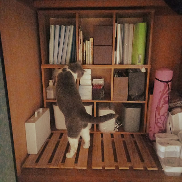 rhuさんの実例写真