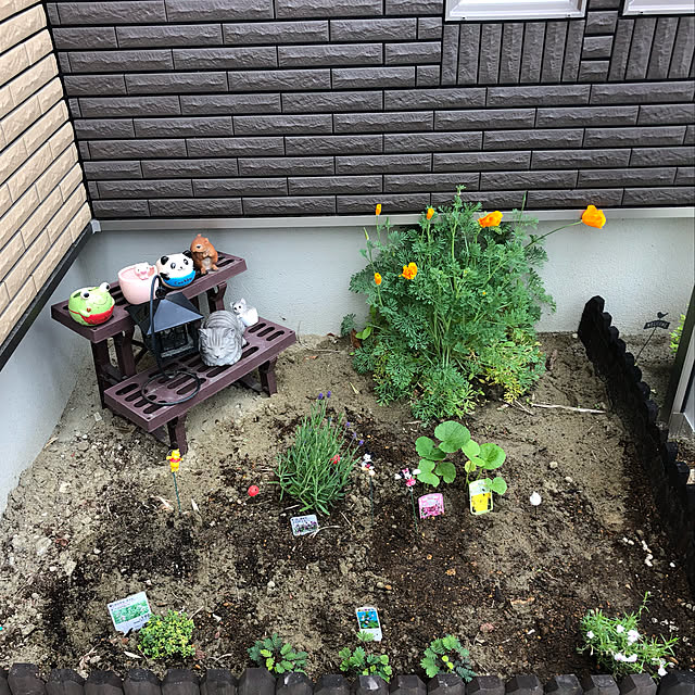 abebiさんの実例写真