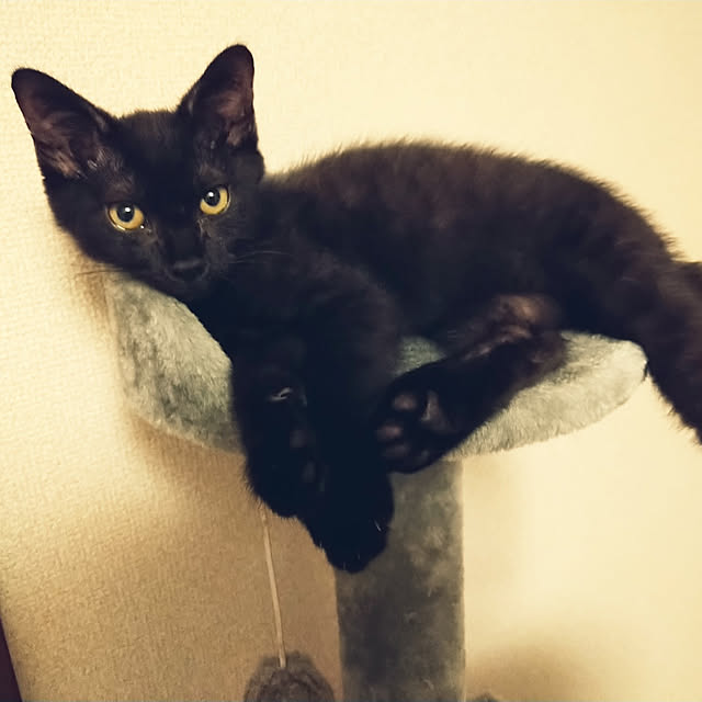 Tさんの実例写真