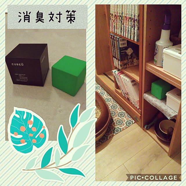 futukoさんの実例写真