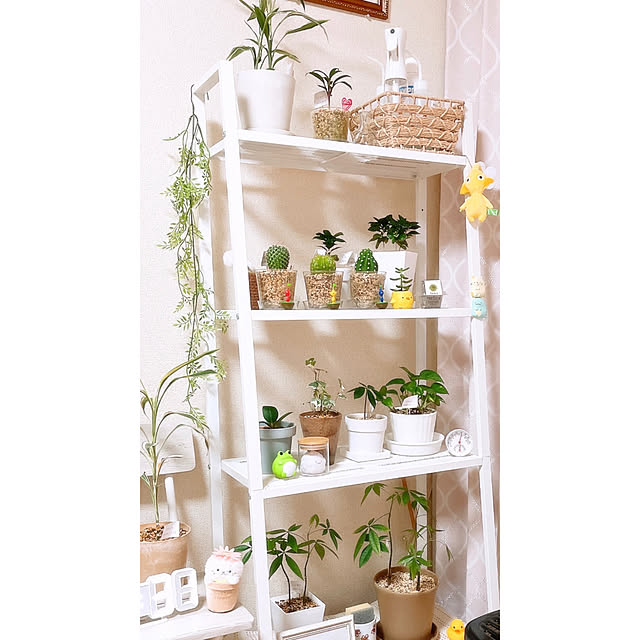 hiyoko145さんの実例写真