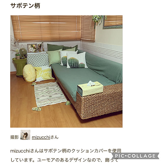 mizucchiさんの実例写真