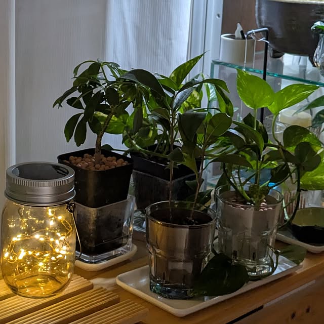 mi-saさんの部屋