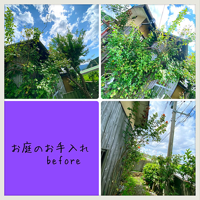 prelumoさんの実例写真