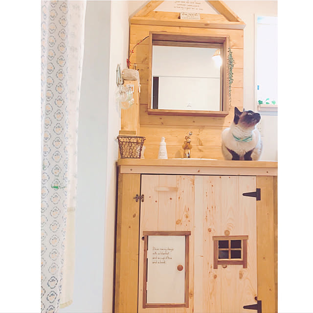 mintcatさんの実例写真