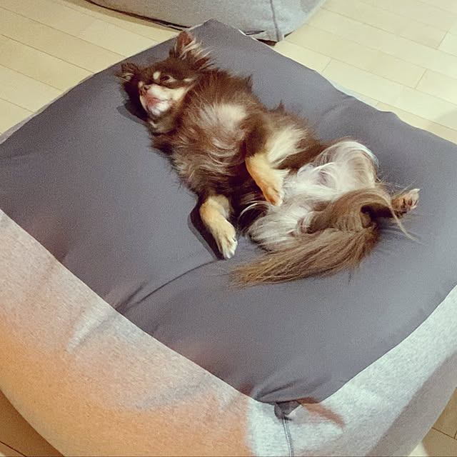 Mikiさんの実例写真