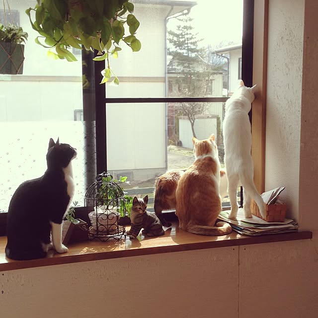 Kinanさんの実例写真