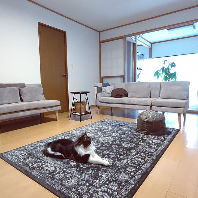 +CHIHARU+さんの実例写真
