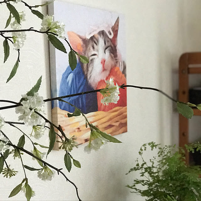 masakoさんの実例写真