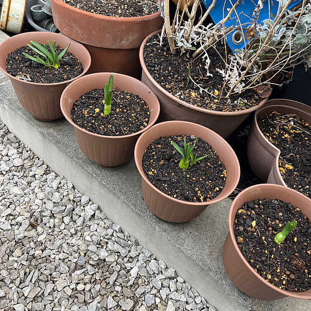 EMIKOさんの部屋