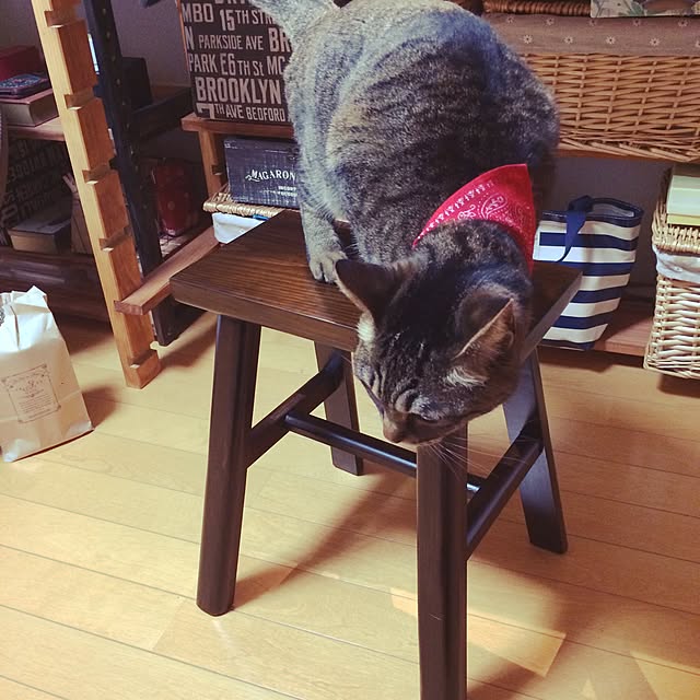 TIEさんの実例写真