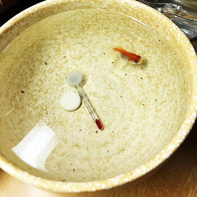 zuborararaさんの実例写真