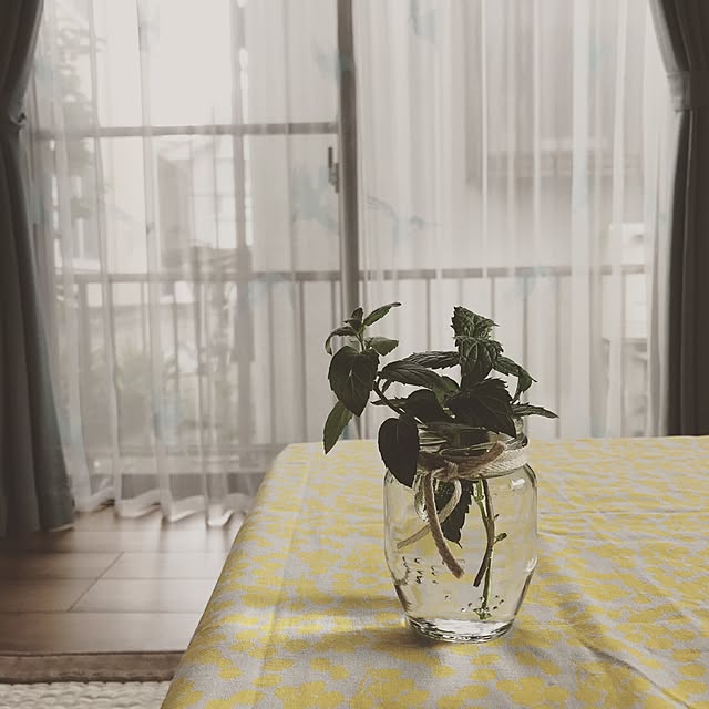 shioriさんの実例写真