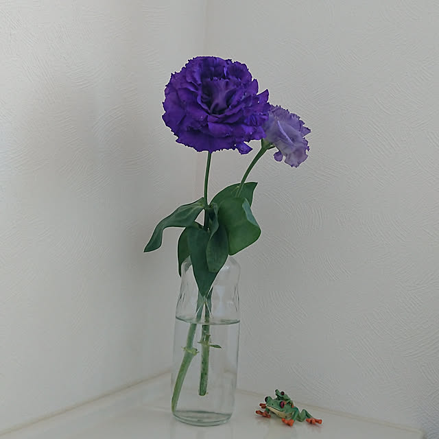 reguさんの実例写真