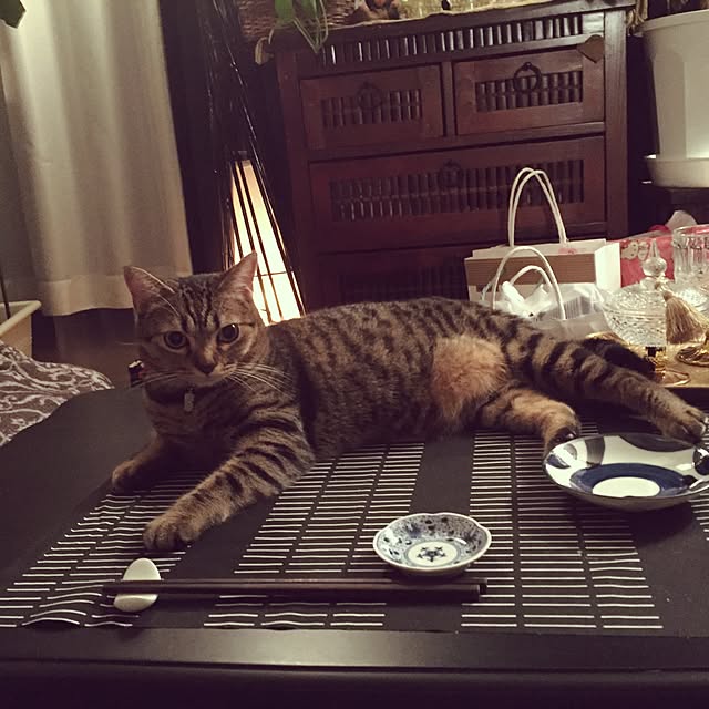 catwomanさんの実例写真