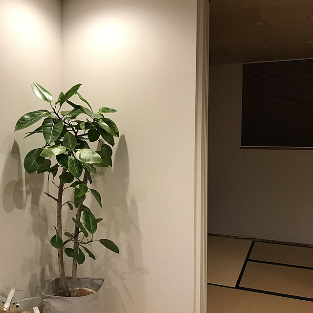 girl3さんの実例写真