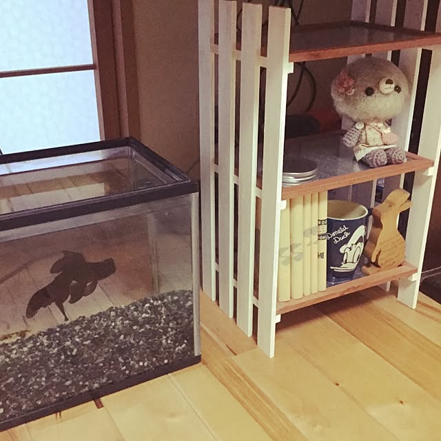 実例写真