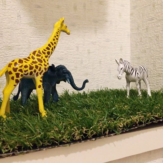 matsumotoさんの実例写真