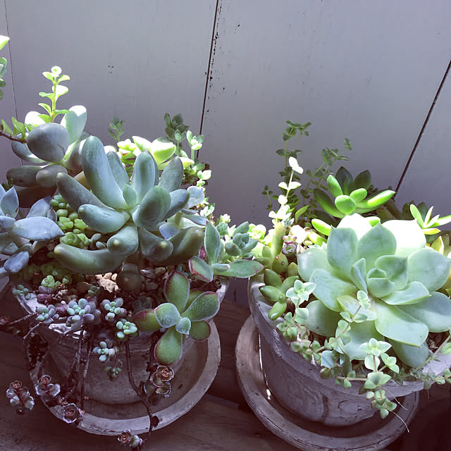 Mariさんの実例写真