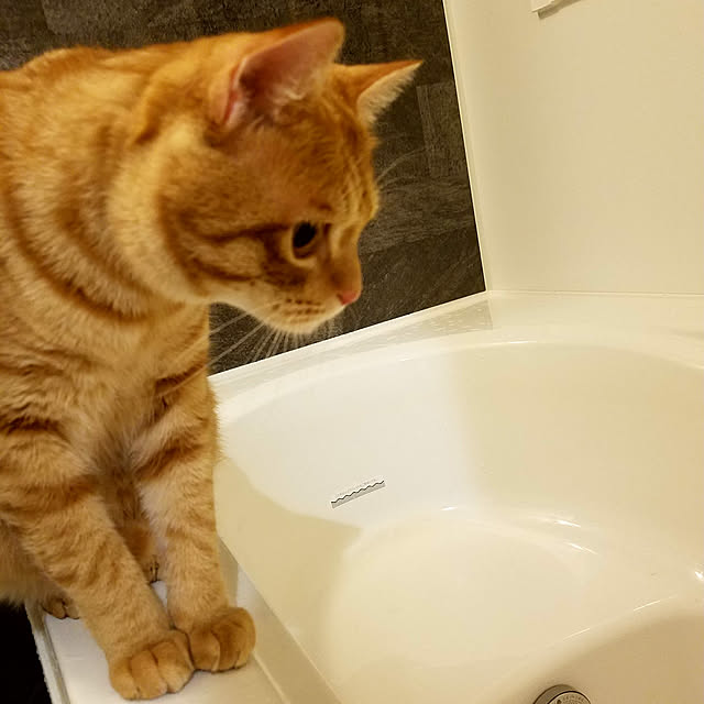 C.Tさんの実例写真
