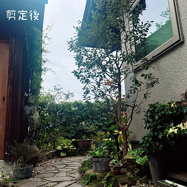 onsix777さんの部屋
