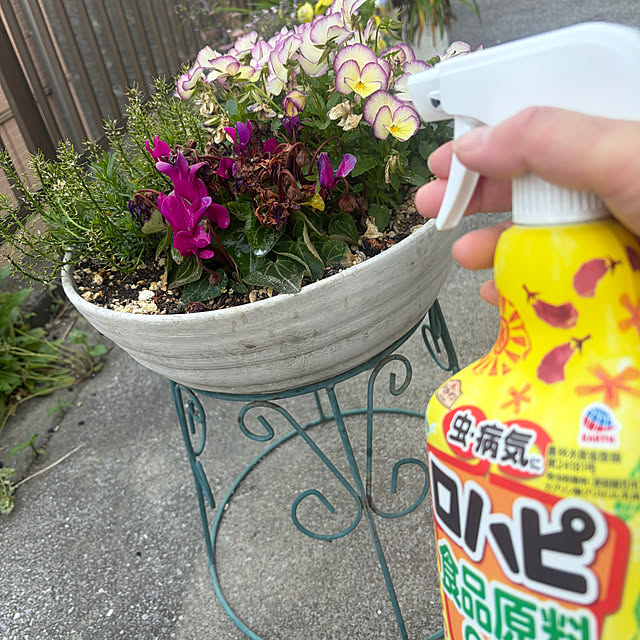 Yukikokoさんの実例写真