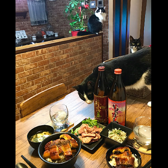 butachanさんの実例写真
