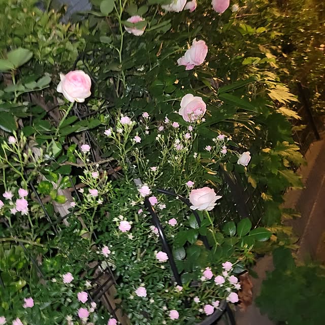 mimi828さんの部屋
