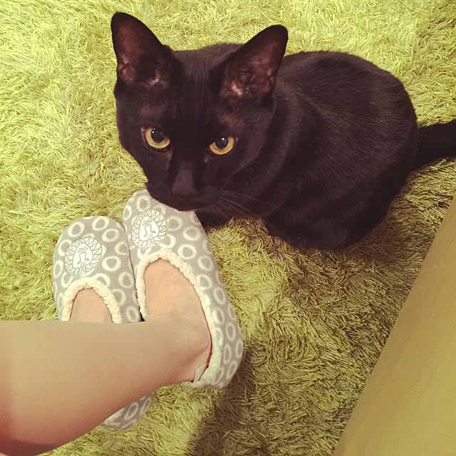 rkk.さんの実例写真