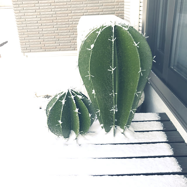 yunyumさんの実例写真
