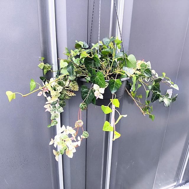 NSDさんの実例写真