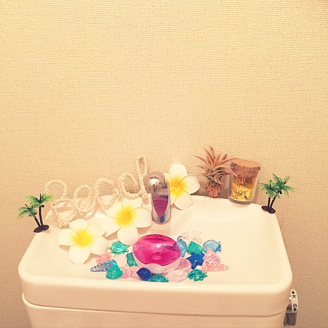 chomo.s2さんの実例写真